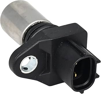 51nbhR1Rv6L._AC_UF350,