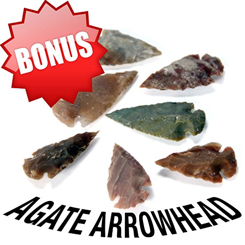 Extreme Rock & Fossil kit Including Huge Megalodon Shark Tooth shard, Meteorite Fragment, Herkimer Diamond and 3 lbs Total Rocks and Fossils.