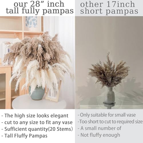 Image of 28 inch inch 20 Stems Large Pampas Grass Decor - Fluffy Brown & White Pampas Grass Decor Tall Pompas Grass for Floor Vase - Boho Home Decor Wedding Decor Natural Flower Bouquet