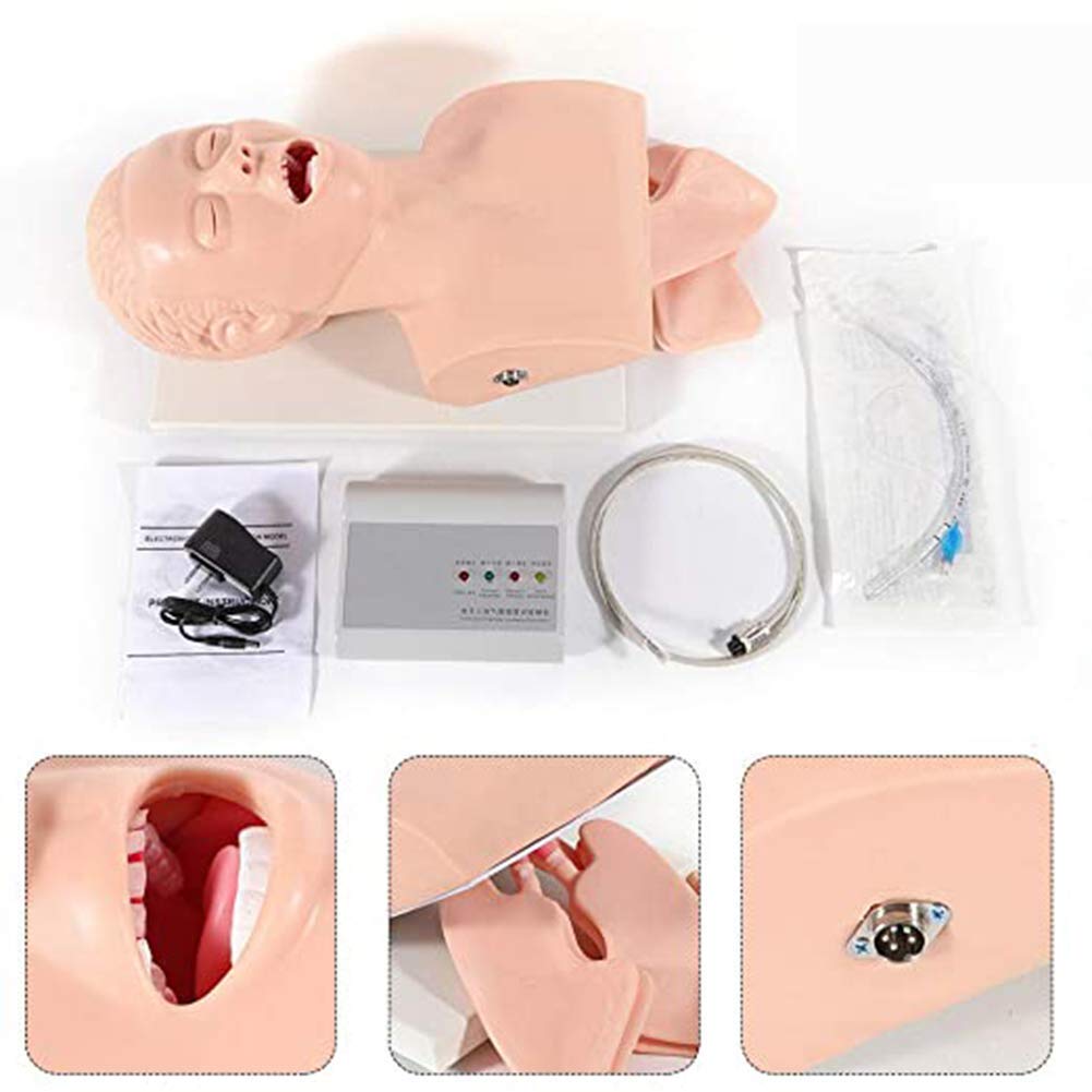 P9IDEDFH Oral Nasal Intubation Manikin Training Study Teaching Model Professional Airway Management Trainer PVC Demo--Medical Pressure Alarm Device with Teeth