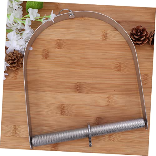 Image of Large Stainless Steel Bird Swing for Parakeets and Cockatiels Widened Feeding Bracket for Hummingbirds Design for Garden Decoration and Indoor Use