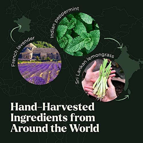 Essential Oils Set -Bluspirits 6 Piece Organic Blends For Diffusers, Therapeutic, Aromatherapy, Humidifiers, Home Care, Fragrance Gifts - Peppermint, Tea Tree, Lavender, Eucalyptus, Lemongrass, Orange #TOP1