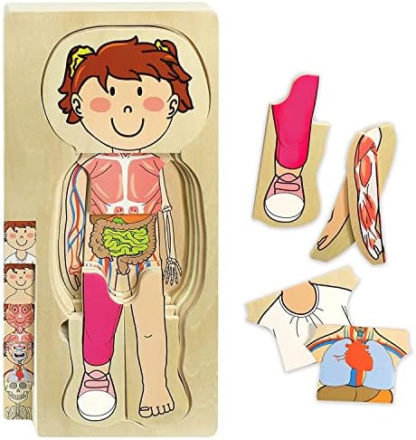Kidzlane Girl Wooden My Body Puzzle for Toddlers & Kids - 29 Piece Girls Anatomy Puzzle Kid Play Set - Anatomy for Kids, Skeleton Toys for Kids Ages 3 Plus