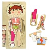 Kidzlane Girl Wooden My Body Puzzle for Toddlers & Kids - 29 Piece Girls Anatomy Puzzle Kid Play Set
