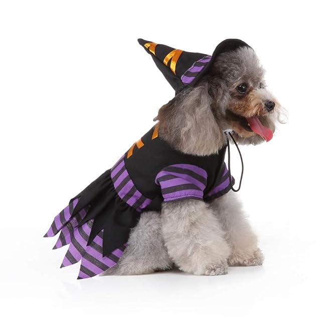 Foto 3 de 8 de ibasenice Disfraz de Mascota Perrito Bruja - Disfraz de Mascota de Halloween