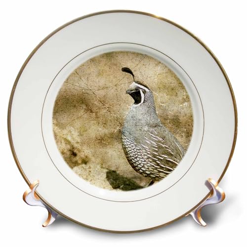 3dRose cp_12394_1 California Quail with Textures Porcelain Plate, 8