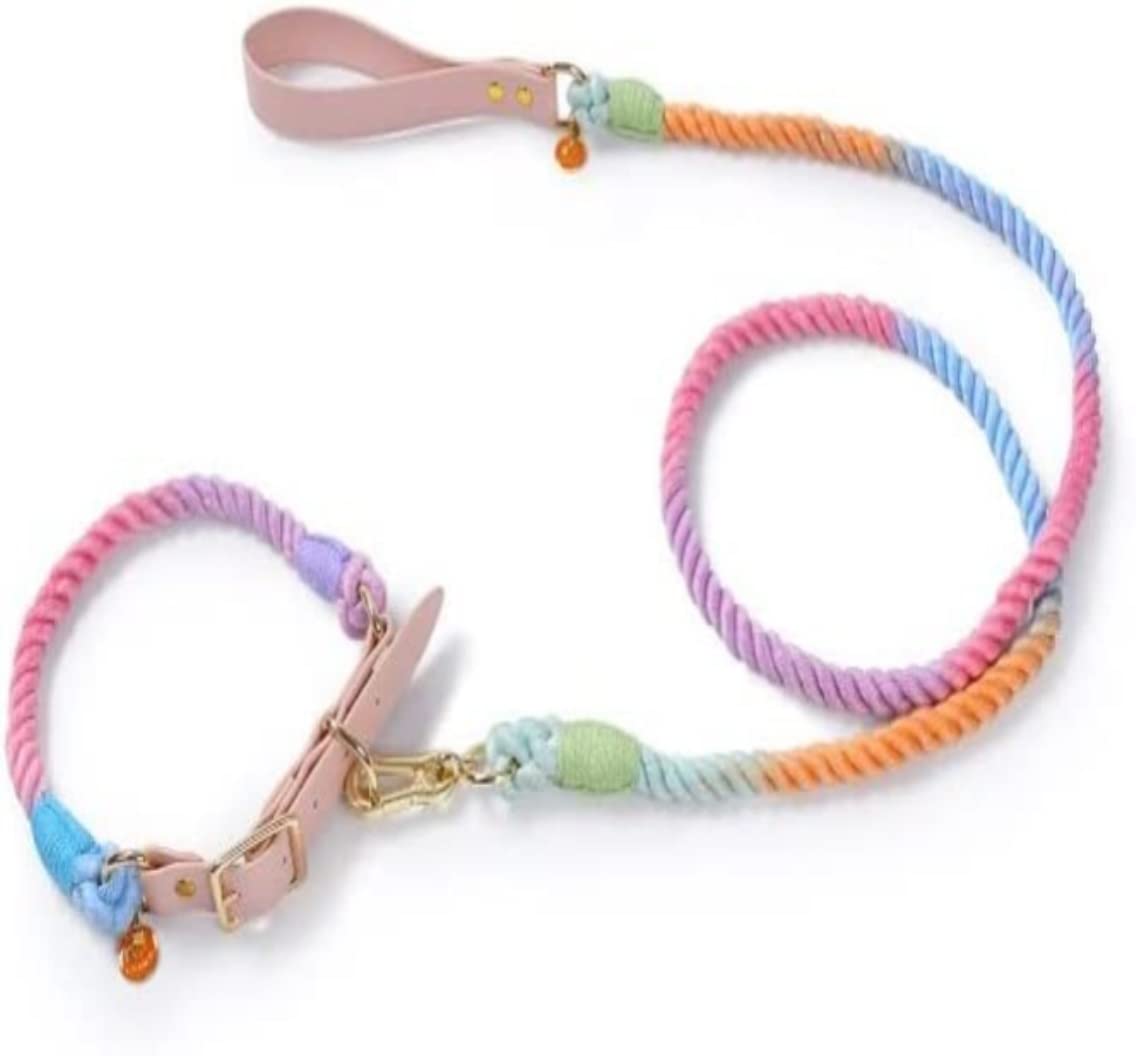 Longe Chien Collier De Chien De Couleur Laisse pour Chien De Compagnie Convient Aux Petits, Moyens Et Grands Chiens Corde De Marche Extérieure Ceinture Chien(A,35-41cm)
