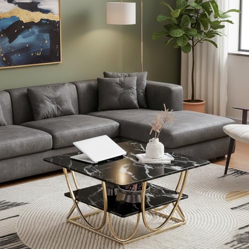 Image of Round Storage Coffee Table Contemporary Coffee Table for Living Room Wood Top with Metal Frame (Black GLD SQ)