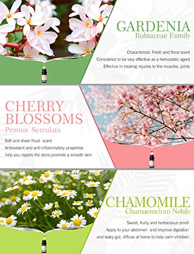 Bloemen Etherische Oliën 6x10ml, SALKING 100% Puur Essentiële oliën, Aromatherapie Geurende Oliën, Geur Olie Set voor… - Image 6