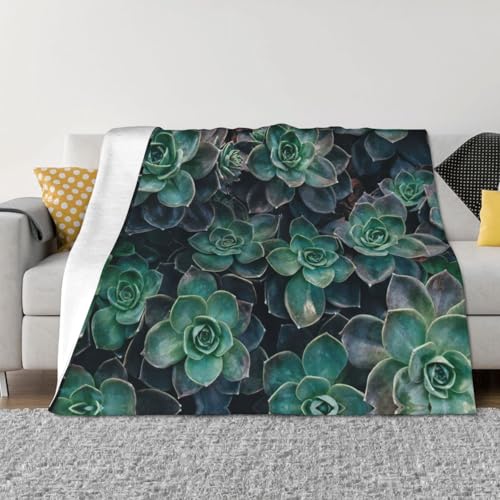 Couverture légère lit canapé chaise toutes saisons imprimé succulentes