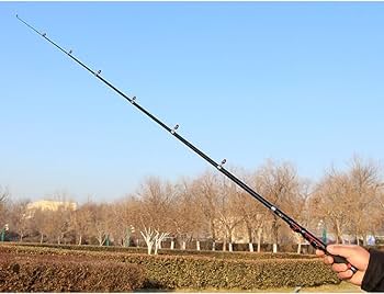 Amazon | コンパクトロッド mini 釣り竿 投げ竿 釣り竿 振出