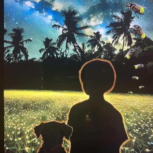 Somewhere Over the Rainforest copertina