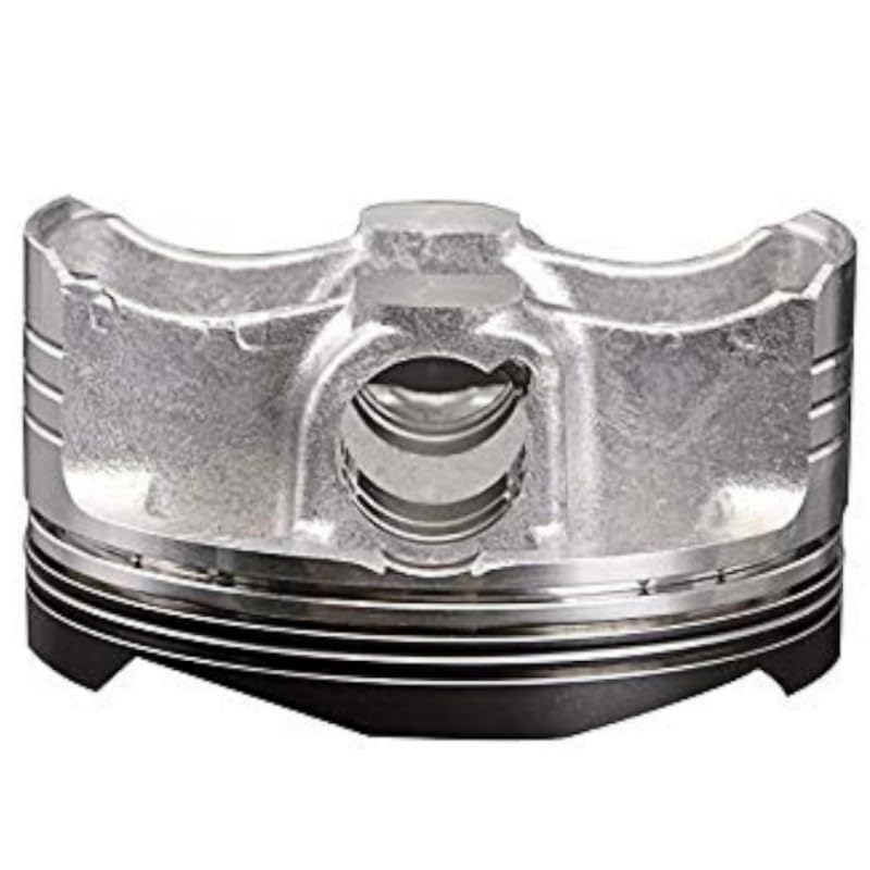 お得‼︎ 定価の1/10❣️未使用　ポリーニ　パイソンレザー　24〜4.5 37.5 ホットスタッフ バイソン BN-04 17インチ - ランドクルーザー