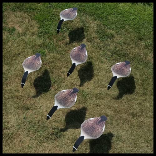 Top Down Decoys - Horizontal Canada Goose/Snow Goose Decoy - 12 Pack