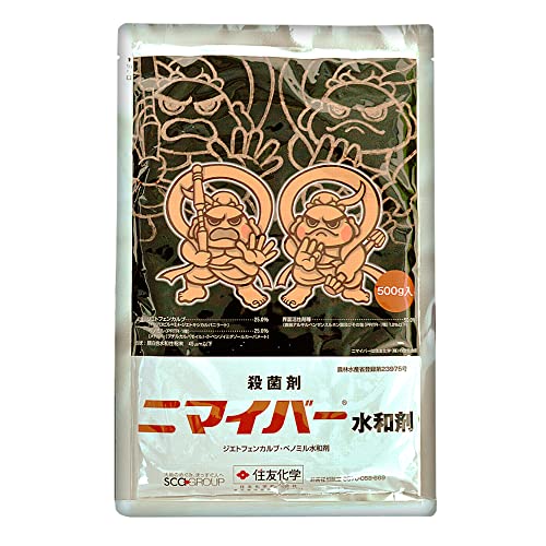 ZFw Eۍ j}Co[ a 500g