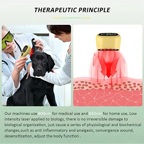 Kts Vet Device For Pets,Red Light Therapy Relieve Local Pain, Epidermal Wound Healing, Handheld Pet Red Light Wavelength 650Nm/808Nm For Dogs,Cats,Horses #TOP1