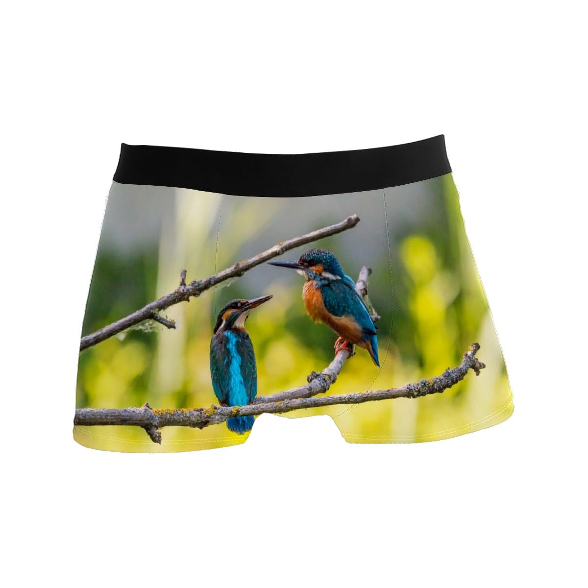 GISPOG Kingfisher Bird Men's Boxers Briefs Man Support Underwear Stretch Low Rise Boxer Brief Trunks