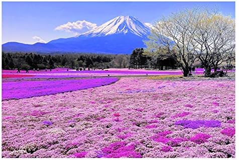 Jigsaw Puzzle Mount Fuji Adult Wooden Puzzle 2000 Puzzle Beautiful Scenery Japanese Scenery Cherry Blossom (Color : D, Size : 500 Pieces: 53x38cm)