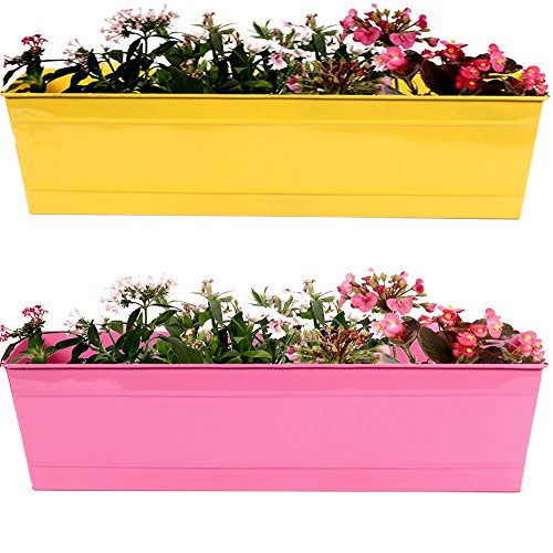TrustBasket Rectangular Railing Planters (23-inch, Yellow and Magenta, Pack of 2)