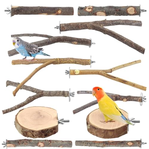 Image of 12PCS Natural Wood Bird Perches for Cage, Parrot Perch Stand & Platform, Bird Cage Accessories - Multi-Size Perches for Parakeets, Cockatiels, Conures, Lovebirds