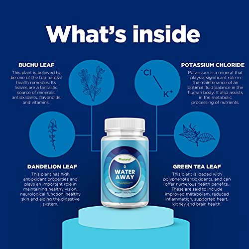 A-Bundle-of-Natural-Water-Pills-Diuretics-Apple-Cider-Vinegar-Gummies-with-The-Mother-for-Water-Retention-Full-Body-Cleanse-Kidney-Stomach-Support-and-Immune-Support-Digestion