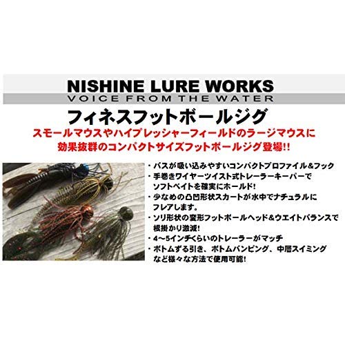 Amazon.co.jp: ニシネルアー(Nishine Lure Works) フィネス