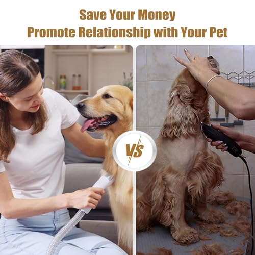 lvittyPet Dog Grooming Kit, 7 in 1 Dog Grooming Vacuum, Pet Vacuum for Shedding Grooming with 3 Suction Mode and 2L Dust Cup, Low Noise Shedding Pet Hair, Home Cleaning