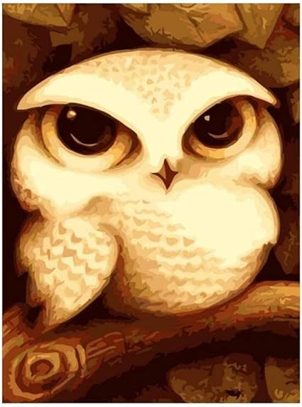 Peinture Par Numero Pour Debutant Adultes Enfants Chouette Dessin Anime Mignon Kits De Peinture Thanksgiving Anniversaire Le Nouvel An Coffret Cadeau Amazon Fr Jeux Et Jouets