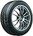 MICHELIN Premier A/S All-Season Radial Car Tire for Luxury Performance and Passenger Cars; 225/60R17 99H