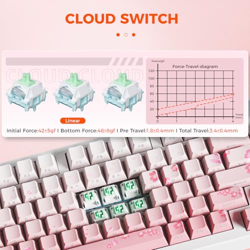 Mechanical Keyboard Wireless Hot-Swappable