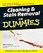 Cleaning and Stain Removal for Dummies