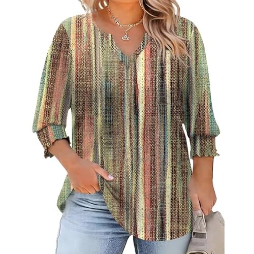Rapbin Womens Plus Size Tops 3/4 Sleeve Blouses Shirts Casual V Neck Loose Tunic Tops 1X-5X X-Large Colorful Stripes