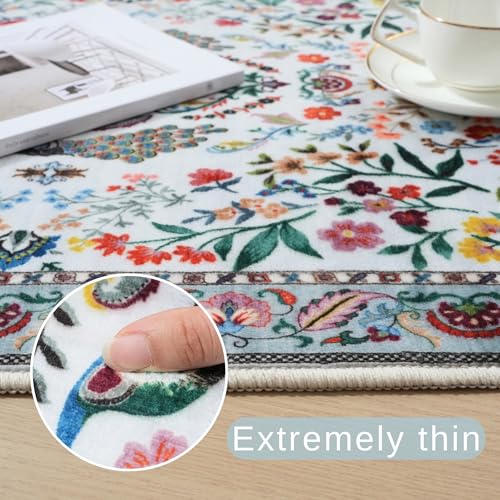 Entryway Rug 2x3 Rug Door Mat Indoor Entrance Washable Rug Small Non-Slip Low Pile Throw Rugs for Entryway, Kitchen, Front Door Indoor Entrance, Entry(Colorful)