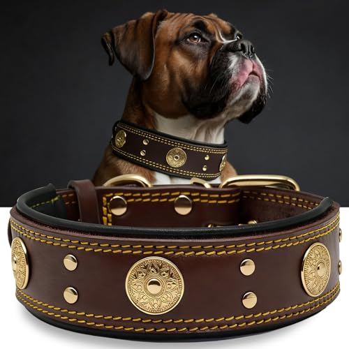 Image of Genuine Leather Dog Collar for Large Dogs,2 in Wide Heavy Duty,BN-GD-M | Handmade,Stainless Steel Pin Buckle,Soft Padded,Alloy Studded,Luxury Eye-catching Design,Medium to Giant Breeds,18.5-22.5 in