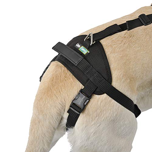 Ortocanis - Full-Body Dog Harness for Fore and Hind Support Size M - Image 3