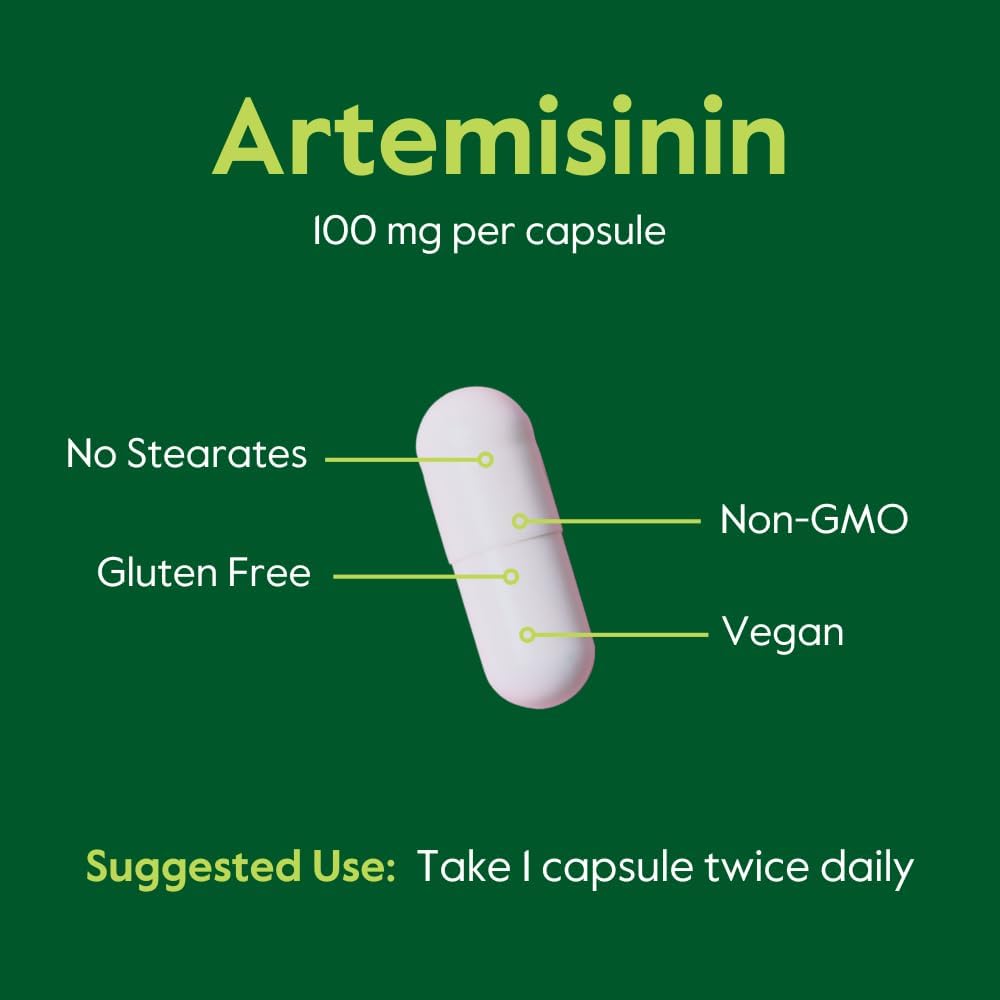 BESTVITE Artemisinin 100mg (240 Vegetarian Capsules) (2-Pack) - No Stearates - No Flow Agents - Vegan - Gluten Free - Non GMO - Image 5