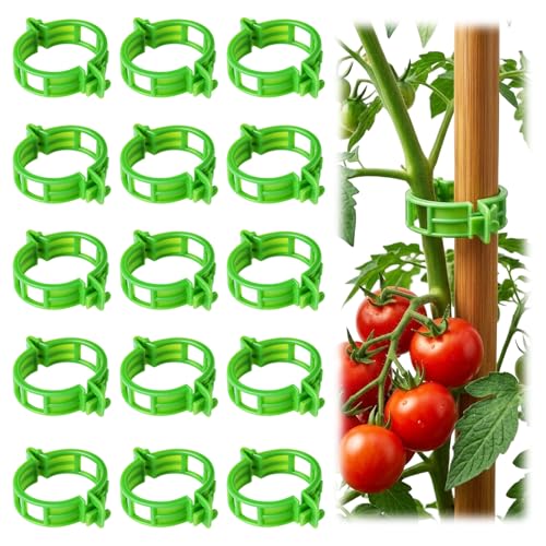 100pcs Tomato Clips for Climbing plants, Plastic Trellis Plant Support Clips for Garden, Reusable Clips for Supporting Grape Tomato Vine and Vegetables Plants to Grow Upright Makes Plants Healthier
