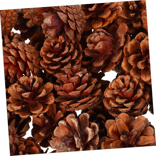 Natural rustic pinecones pour loisirs créatifs et décoration de table