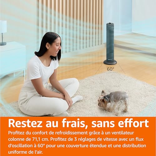 Vue 5