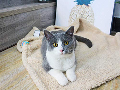 Premium Fluffy Fleece Dog Blanket, Soft and Warm Pet Throw for Dogs & Cats (2-Pack Small 24x32'', Grey&Beige) - Thumbnail 6