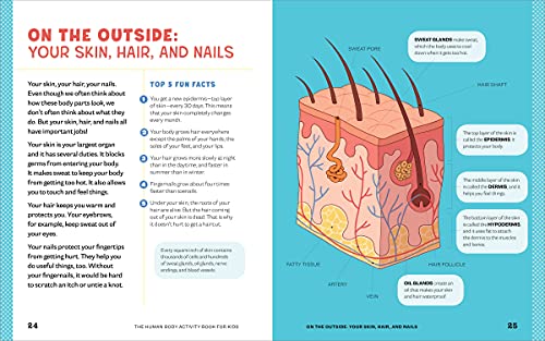 Human Body Activity Book for Kids: Hands-On Fun for Grades K-3 6 51ncbAncWuL