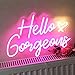 Hello Gorgeous Neon Sign Hello Beautiful Pink LED Neon Lights for Home Wedding Birthday Backdrop Bacelorette Party Wth Dimmable Switch(5V,16.5X10.6inches)