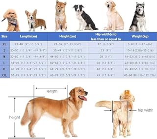 Carrello Per La Mobilità Del Cane, Cani Anziani Sedia A Rotelle,Supporto Regolabile Per Animali Domestici Con 4 Ruote Per Cani Disabili,Carrozzina Per Cani Per Zampe Anteriori E Posteriori XL