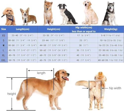 Carrello Per La Mobilità Del Cane, Cani Anziani Sedia A Rotelle,Supporto Regolabile Per Animali Domestici Con 4 Ruote Per Cani Disabili,Carrozzina Per Cani Per Zampe Anteriori E Posteriori Xl - 3