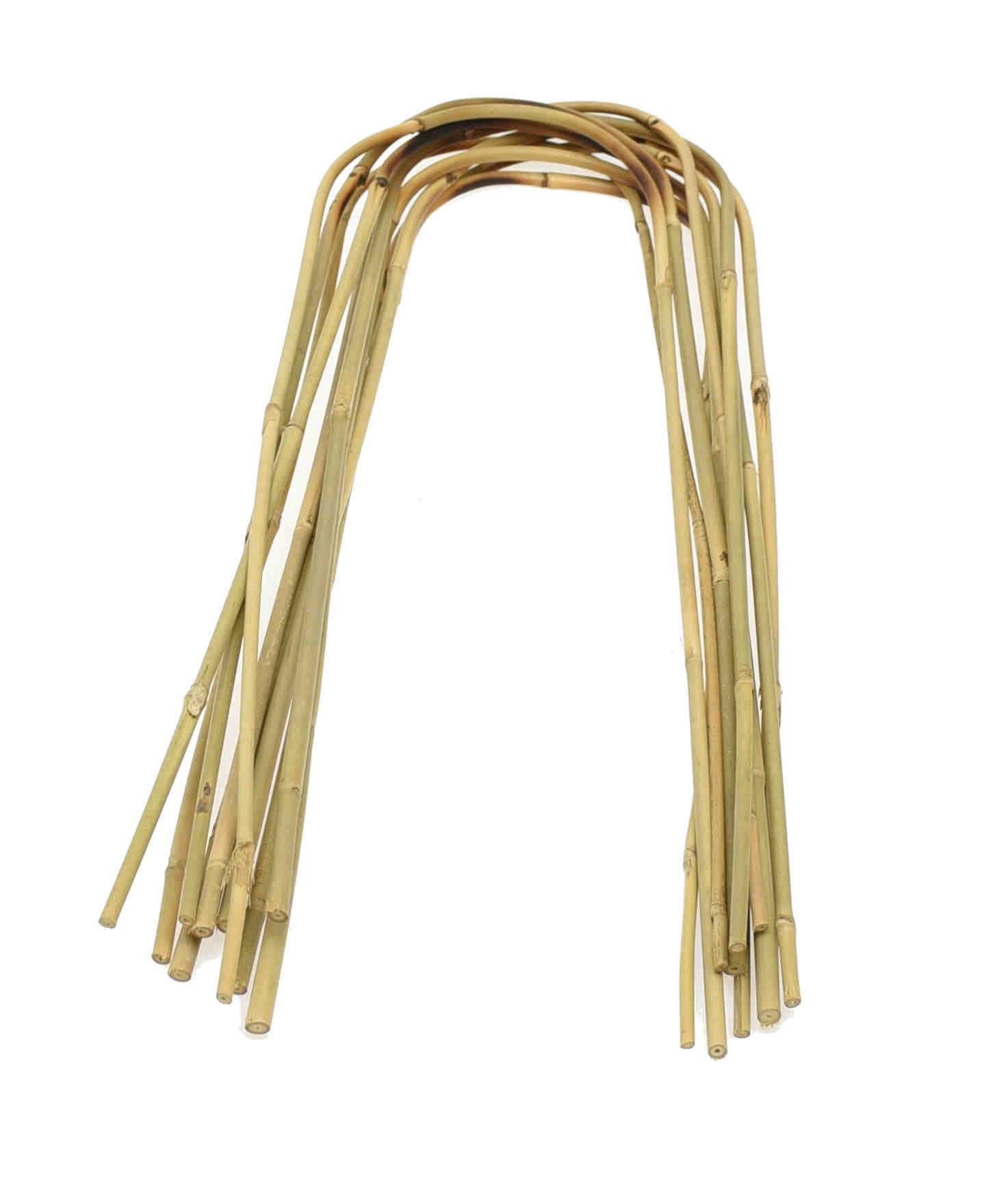Dixiestore Gebogener Bambus Bambusstifte Natürliche - für Pflanzen Dekoratives Element Rankhilfe Clematis Efeu oder Orchideen Pflanzstäbe Stäbe - Größe 150 cm 14/16 mm Inhalt 100 Stück