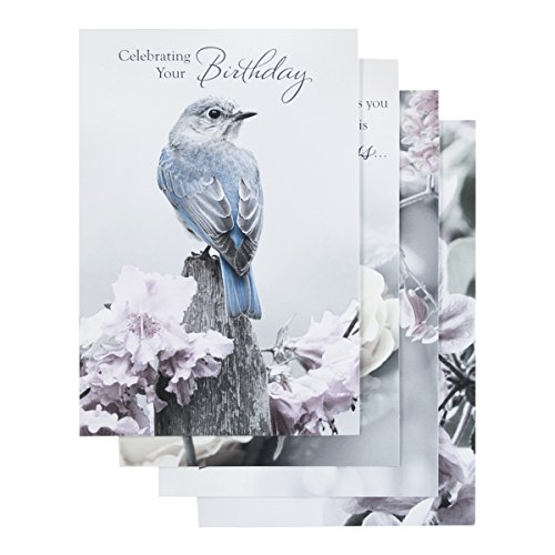 Best Deal Cheap 🛒 DaySpring Birthday - Inspirational Boxed Cards - Touch of Color - 37363 Tech Deals 🔥 DaySpring Birthday - Inspirational Boxed Cards - Touch of Color - 37363