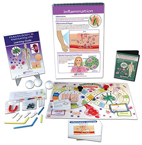 Image of NewPath Learning 74-6733 Human Body III: Maintaining Life Curriculum Learning Module