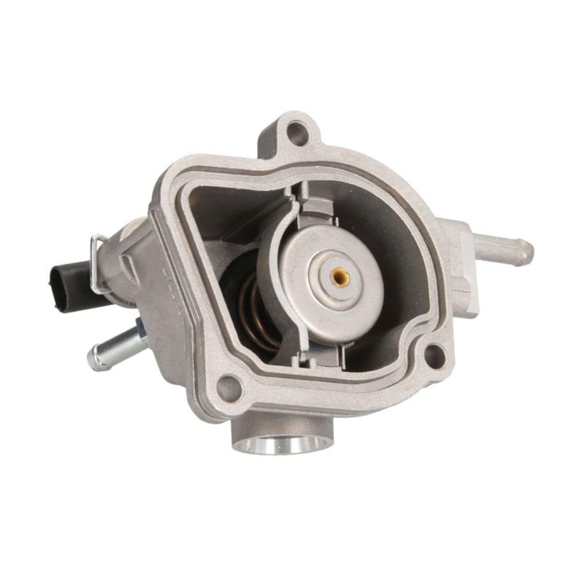 Calorstat TH6884.92J Thermostat d'eau