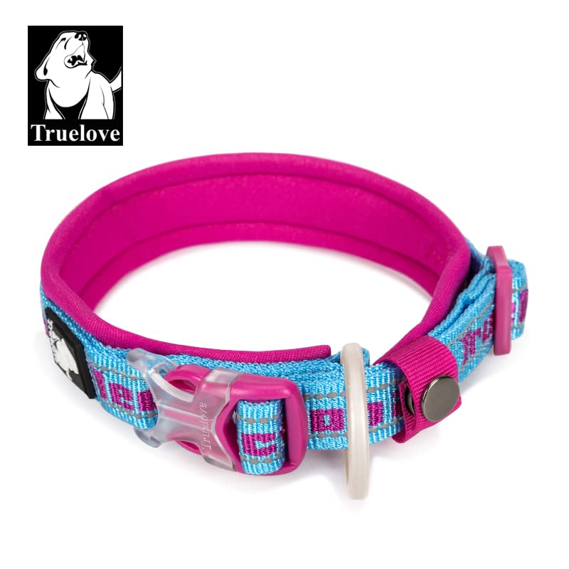 WINHYEPET True Love Reflective Dog Collar - Image 2
