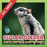  All about Sugar Glider  Facts, Photos and Illustrations: A Picture Book for Kids and Toddlers  Screen-Free Infotainment (MY WORLD for YOUNG READERS)